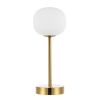12" Gold USB Table Lamp With Globe Shade