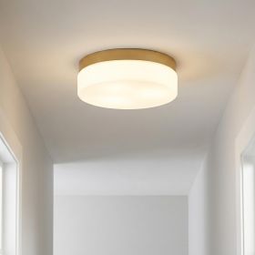 11" Brass Metal And Glass Flush Mount Ceiling Light