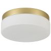 11" Brass Metal And Glass Flush Mount Ceiling Light