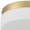 11" Brass Metal And Glass Flush Mount Ceiling Light