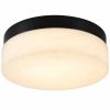 11" Black Metal And Frosted Glass Flush Mount Ceiling Light