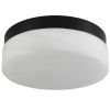 11" Black Metal And Frosted Glass Flush Mount Ceiling Light