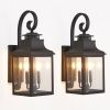 Black Two Light Transparent Outdoor Hanging Lights With Clear Shades