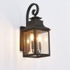 Black Two Light Transparent Outdoor Hanging Lights With Clear Shades