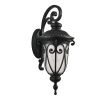 Black Transparent Outdoor Hanging Light With Clear Shades