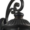 Black Transparent Outdoor Hanging Light With Clear Shades