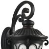 Black Transparent Outdoor Hanging Light With Clear Shades