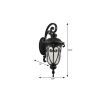 Black Transparent Outdoor Hanging Light With Clear Shades