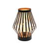 9" Black Metal Pierced Novelty Desk Lamp With Novelty Shade