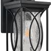 Black Transparent LED Outdoor Hanging Light