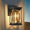 Black Transparent LED Outdoor Hanging Light