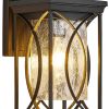 Black Transparent Outdoor Hanging Light