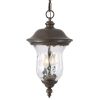 19"(H) Rustic Outdoor Hanging Lantern, Weatherproof Vintage Pendant Light with Clear Glass Shade, Waterproof Exterior Lighting Fixture for Porch