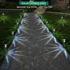 10-Pack Solar Pathway Lights – Waterproof Stainless Steel