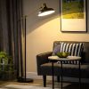 Floor Lamp Black and Gold, Adjustable with Foot Switch
