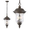 19"(H) Rustic Outdoor Hanging Lantern, Weatherproof Vintage Pendant Light with Clear Glass Shade, Waterproof Exterior Lighting Fixture for Porch