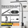 LED Desk Lamp With Stepless Dimming And Flexible Gooseneck