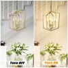 4-Light Farmhouse Kitchen Chandeliers
