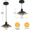 Farmhouse Vintage Black Pendant Light With Adjustable Metal Frame