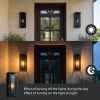 18 Inch Black Outdoor Wall Lantern 2 Pack