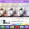 15 Inch RGB Dimmable Bladeless Ceiling Fan With Light And 6 Speed Remote