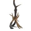 66" Trophy Floor Lamp