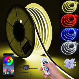 LED Neon Rope Lights with Remote Control 100-FT Color-Changing (Title: Default Title)